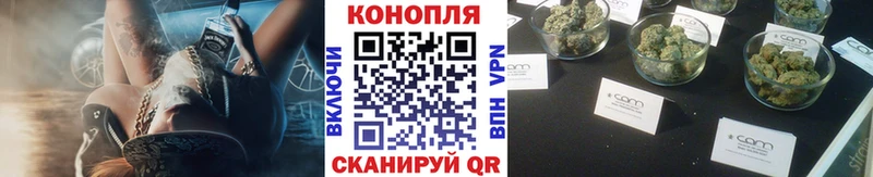 Альфа ПВП Брянск