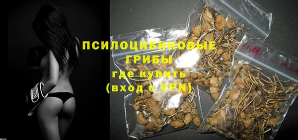 СК Верхний Тагил