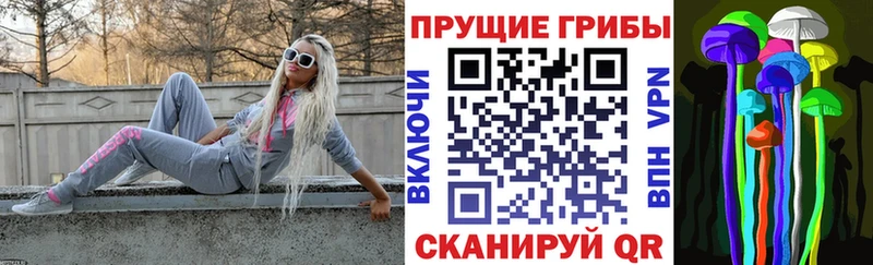 MEGA как зайти  Брянск  дарк нет состав  закладка  Псилоцибиновые грибы Psilocybine cubensis 